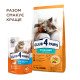 Club 4 Paws Premium Sterilised Salmon Сухий корм для стерилізованих кішок з лососем