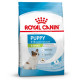 Royal Canin Xsmall Puppy Сухий корм для цуценят