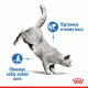 Royal Canin Light Weight Loaf Консервы для взрослых кошек