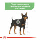 Royal Canin Digestive Care Loaf Консервы для собак