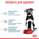 Royal Canin Maxi Puppy Сухий корм для цуценят
