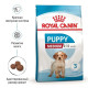 Royal Canin Medium Puppy Сухий корм для цуценят