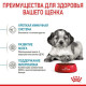 Royal Canin Medium Puppy Сухий корм для цуценят
