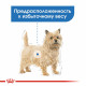 Royal Canin Light Weight Care Loaf Консервы для собак 