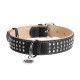 Collar Waudog Soft Ошейник для собак кожаный с металлическими украшениями черный для крупных собак