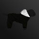 Collar Waudog Clothes Комбінезон для собак Сміливість