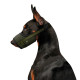 Collar Waudog Pro Намордник для собак із сітки
