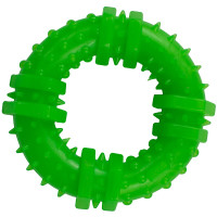 Agility Игрушка для собак кольцо с шипами зеленое