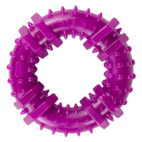 Agility Іграшка для собак кільце з фіолетовим шипами