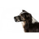 Trixie Намордник для собак нейлоновий для захисту від отрут