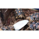 Trixie Sepia Вітамінно-мінеральний комплекс для комахоїдних рептилій