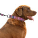 Bronzedog Urban Нашийник напівзашморг для собак етнічний нейлоновий з металевою фурнітурою фіолетовий