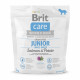 Brit Care Grain-Free Dog Junior Large Breed Salmon and Potato Беззерновой сухой корм для щенков крупных пород с лососем и картоф