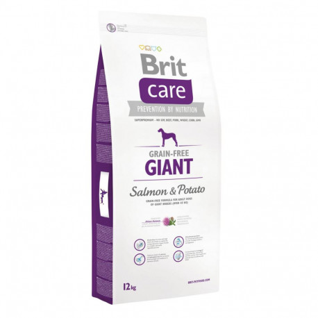 Brit Care сухий корм для дорослих собак гігантських порід з лососем і ка.