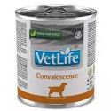 Farmina VetLife Convalescence Влажный корм для собак при выздоровлении