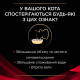 Pro Plan Veterinary Diets DM Diabets Лечебные консервы для кошек при сахарном диабете