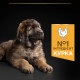 Pro Plan Puppy Large Robust Healthy Start Chicken Сухий корм для цуценят великих порід