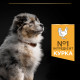 Pro Plan Puppy Medium Healthy Start Сухий корм для цуценят середніх порід з куркою