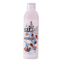 Modes Shampoo Strawberry Шампунь для кошек и собак с ароматом клубники