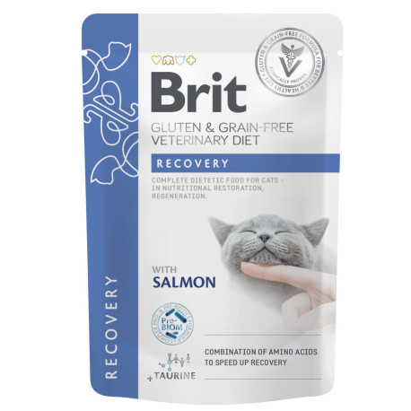 Brit GF Veterinary Diets Cat Recovery Лечебные консервы для взрослых кошек в период восстановления с лососем