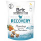 Brit Care Dog Adult Functional Snack Recovery Herring Лакомства для взрослых собак с сельдью