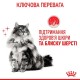 Royal Canin Hair & Skin Care in Gravy Консерви для дорослих кішок