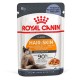 Royal Canin Hair & Skin Care in Jelly Консерви для дорослих кішок