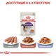 Royal Canin Sterilised Jelly Консерви для стерилізованих кішок