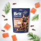 Brit Premium Dog Semi-moist Snacks Happy Salmon Day with Dill Ласощі для собак напіввологі з лососем та кропом