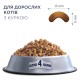 Club 4 Paws Premium Adult Chicken Сухий корм для дорослих кішок з куркою
