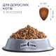 Club 4 Paws Premium Adult Salmon Сухой корм для взрослых кошек с лососем