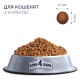 Club 4 Paws Premium Kitten Сухой корм для котят с курицей