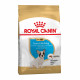 Royal Canin French Bulldog Puppy Сухой корм для щенков
