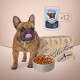 Club 4 Paws Premium Selection Консервы для взрослых собак мелких пород с уткой и индейкой в соусе