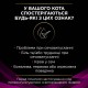 Pro Plan Veterinary Diets UR Лікувальний корм для дорослих кішок