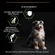 Pro Plan Medium Puppy Сухий корм для цуценят середніх порід