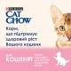 Cat Chow Kitten Консервы для котят с индейкой и цукини в желе