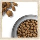 Dog Chow Active Сухой корм для активных собак с курицей