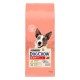 Dog Chow Active Сухой корм для активных собак с курицей