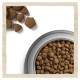 Dog Chow Adult Large Breed Сухий корм для собак великих порід з індичкою