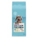 Dog Chow Puppy Large Breed Сухий корм для цуценят великих порід з індичкою