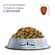 Club 4 Paws Premium Adult Mini & Small Breeds Salmon Сухий корм для дорослих собак малих та мініатюрних порід з лососем