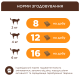 Club 4 Paws Premium Pillows Snack Beef Ласощі для кішок подушечки з яловичиною