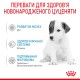 Royal Canin Babydog Milk Замінник молока для цуценят від народження до відлучення