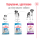 Royal Canin Giant Adult Сухой корм для собак 