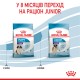 Royal Canin Giant Puppy Сухий корм для цуценят