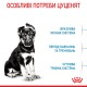 Royal Canin Maxi Puppy Сухой корм для щенков