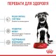 Royal Canin Maxi Puppy Сухой корм для щенков