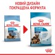 Royal Canin Maxi Starter Сухой корм для щенков