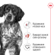 Royal Canin Medium Adult Сухой корм для собак 